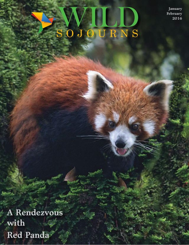 Wild Sojourns