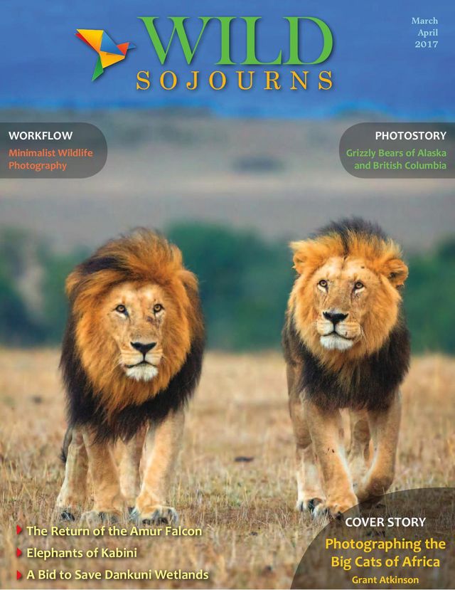 Wild Sojourns