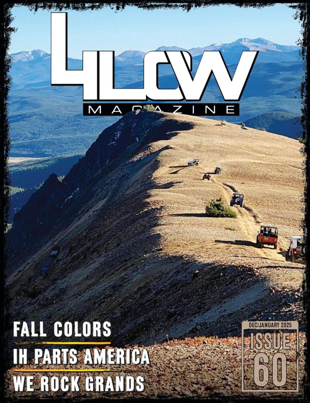 Magzter GOLD ile Sınırsız Olun