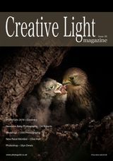 Issue 26
