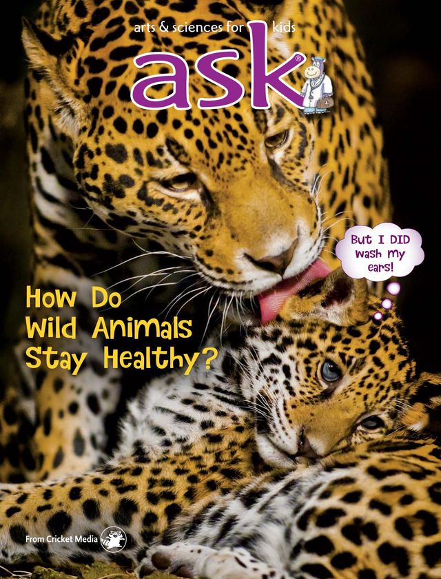 Ask Magazine for Kids