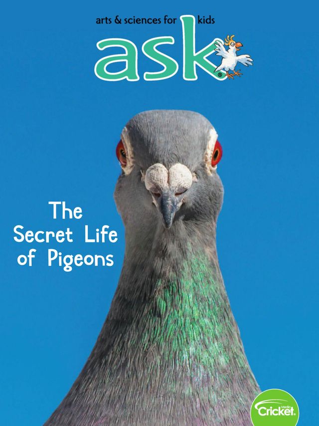 Ask Magazine for Kids
