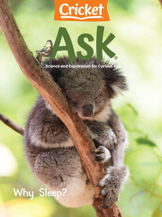 Ask Magazine for Kids