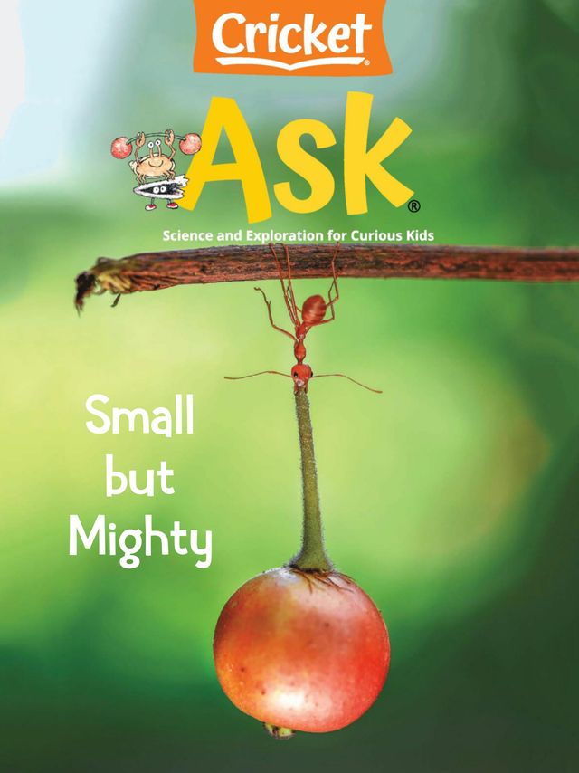 Ask Magazine for Kids