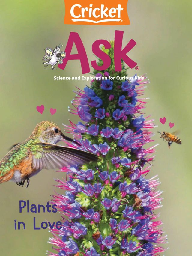 Ask Magazine for Kids