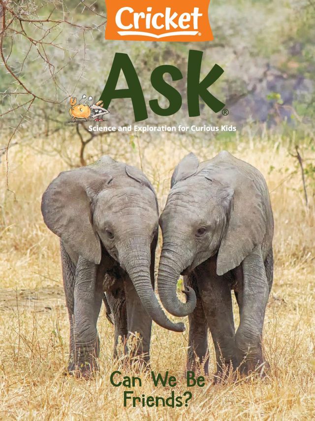Ask Magazine for Kids