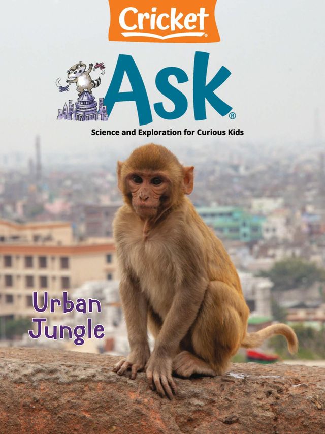 Ask Magazine for Kids