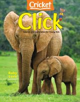 May - June 2024: Baby Love