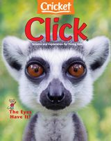 Click October 2024: The Eyes Have It!