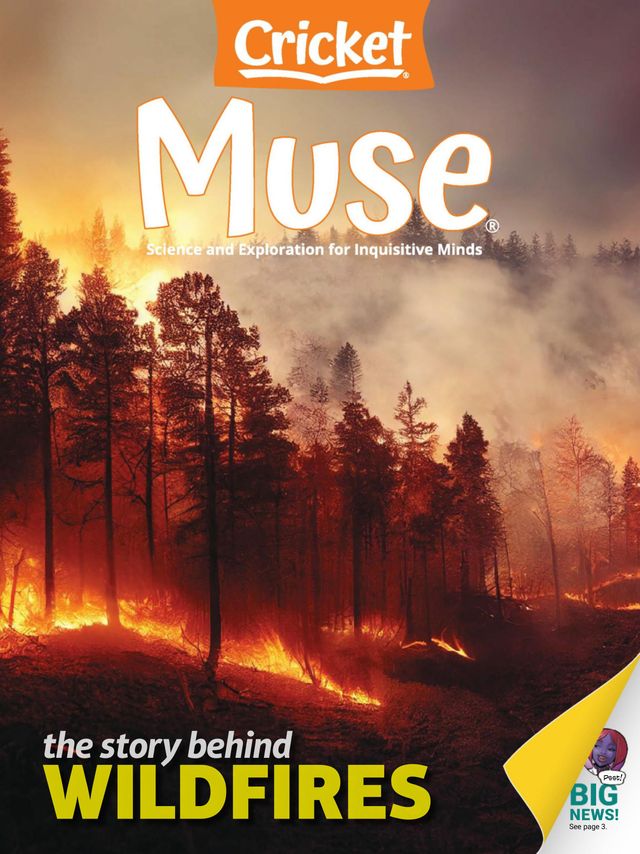 Muse Science Magazine for Kids