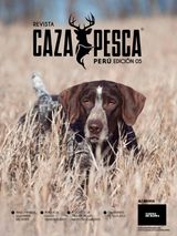 Vol.5 Agosto 2015