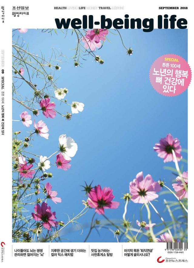 웰빙라이프 Wellbeing life