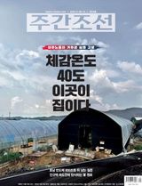 주간조선 Weekly Chosun