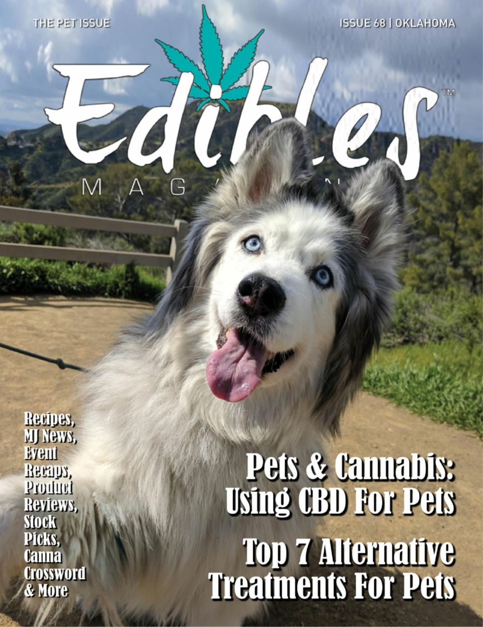 Get digital access to Edibles Magazine Magazine | Magzter.com