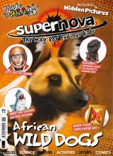 Vol 7 Issue 3