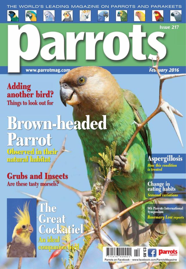 Parrots magazine