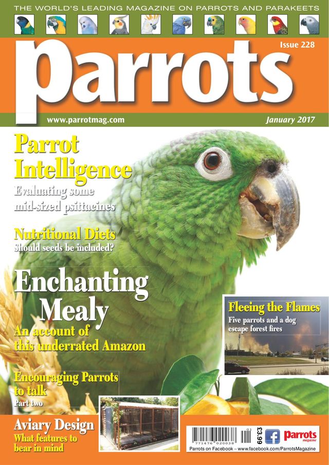 Parrots magazine