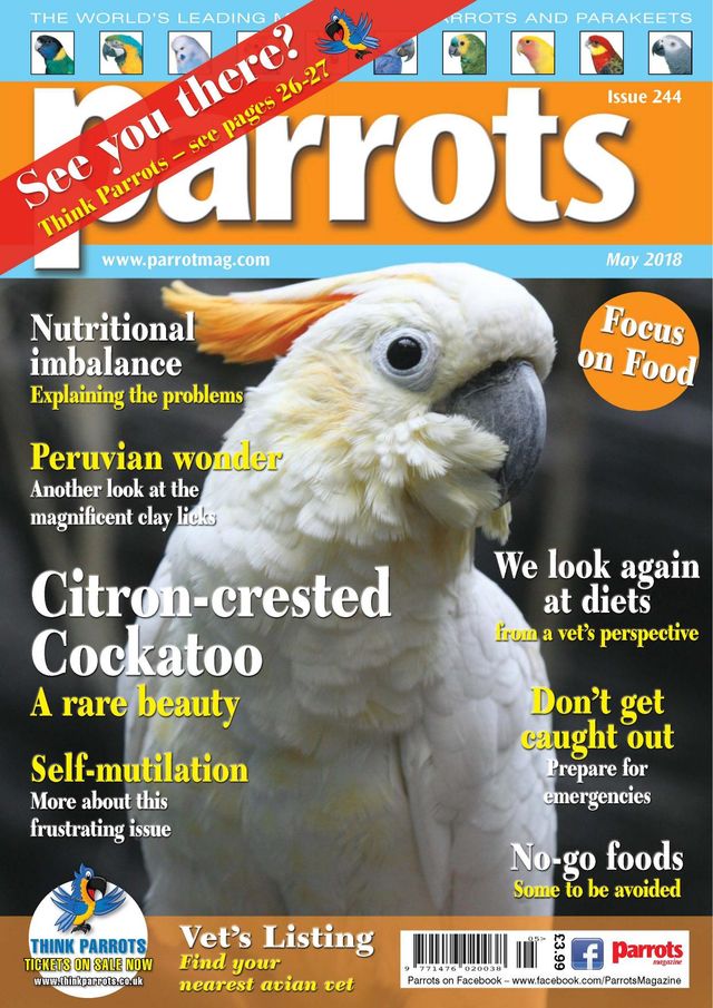 Parrots magazine