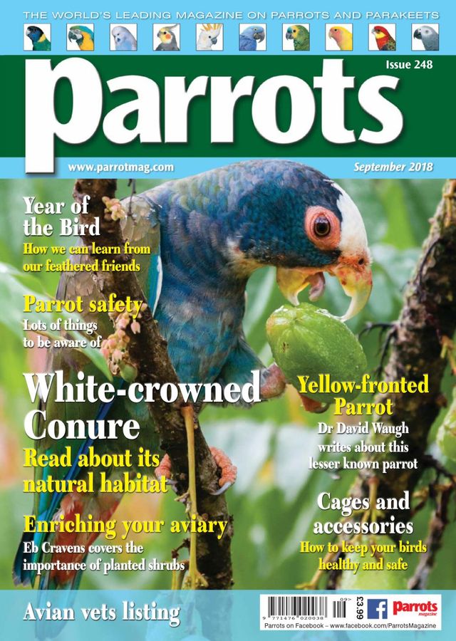 Parrots magazine