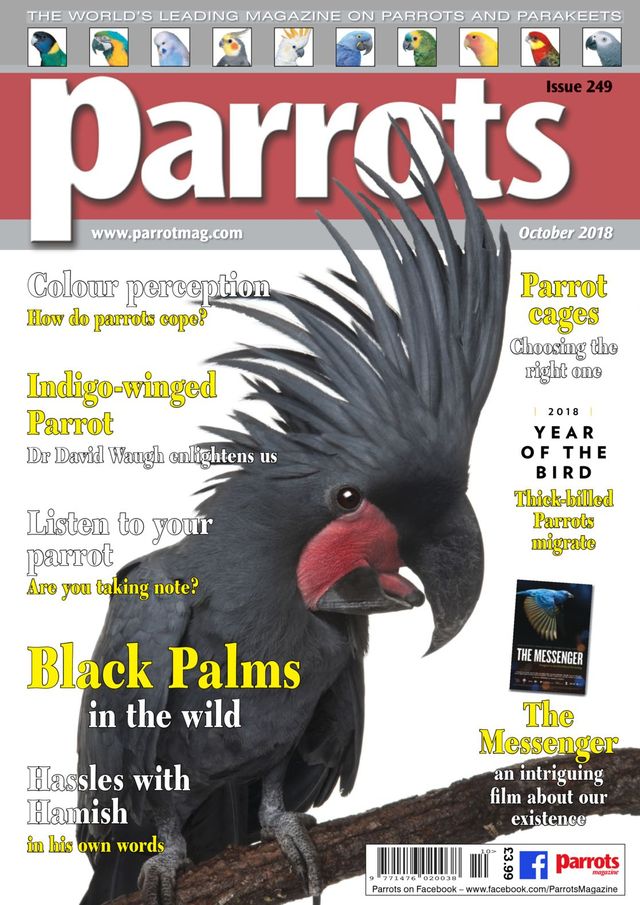 Parrots magazine