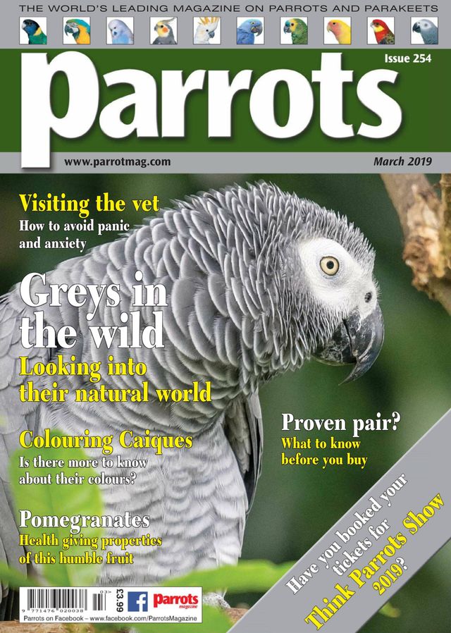 Parrots magazine