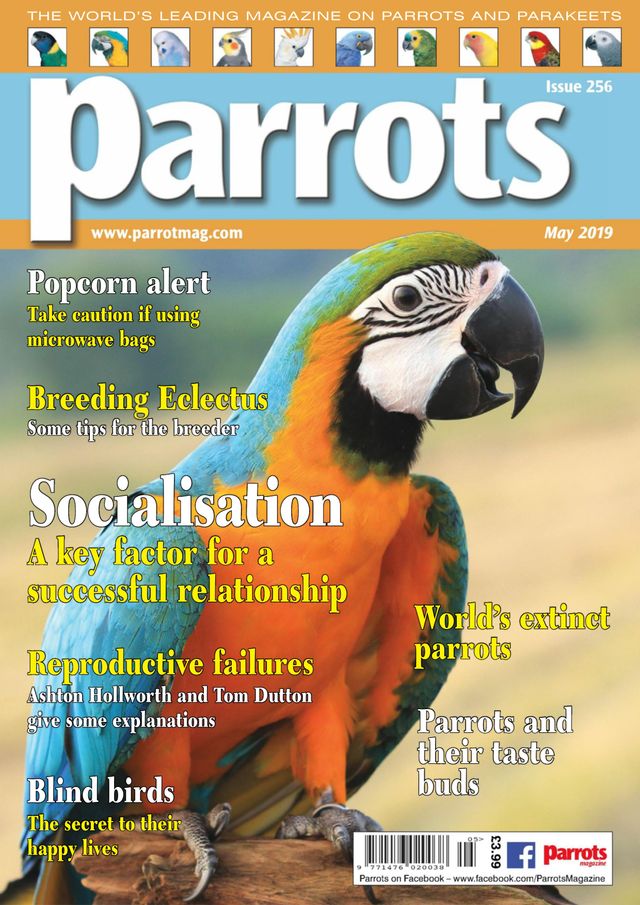 Parrots magazine