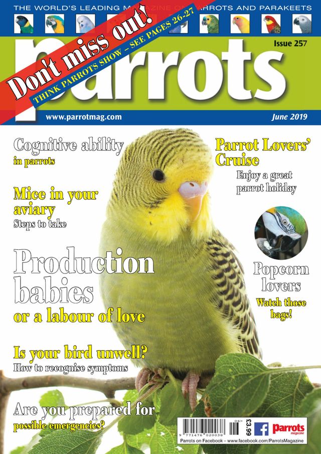 Gå ubegrenset med Magzter GOLD
