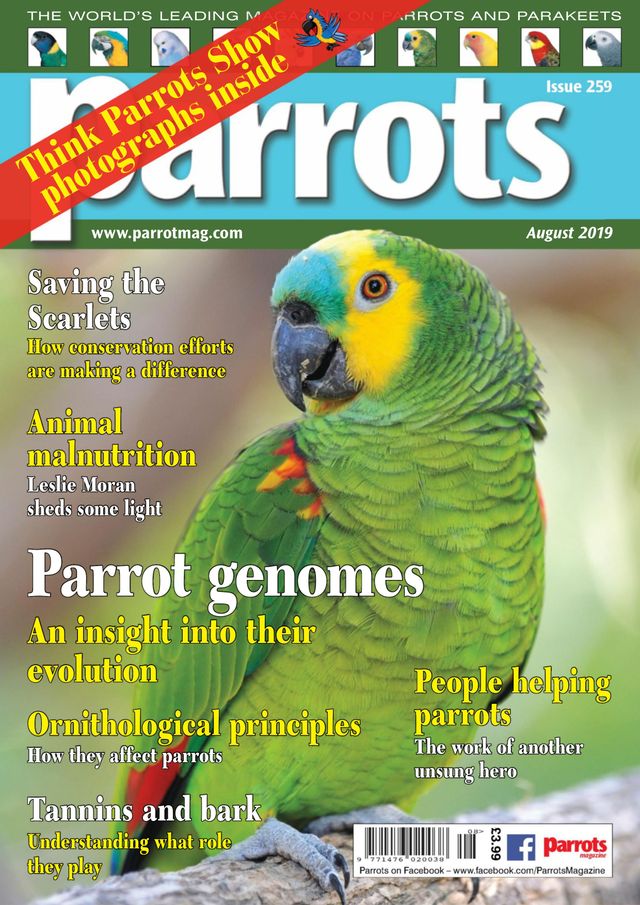 Parrots magazine