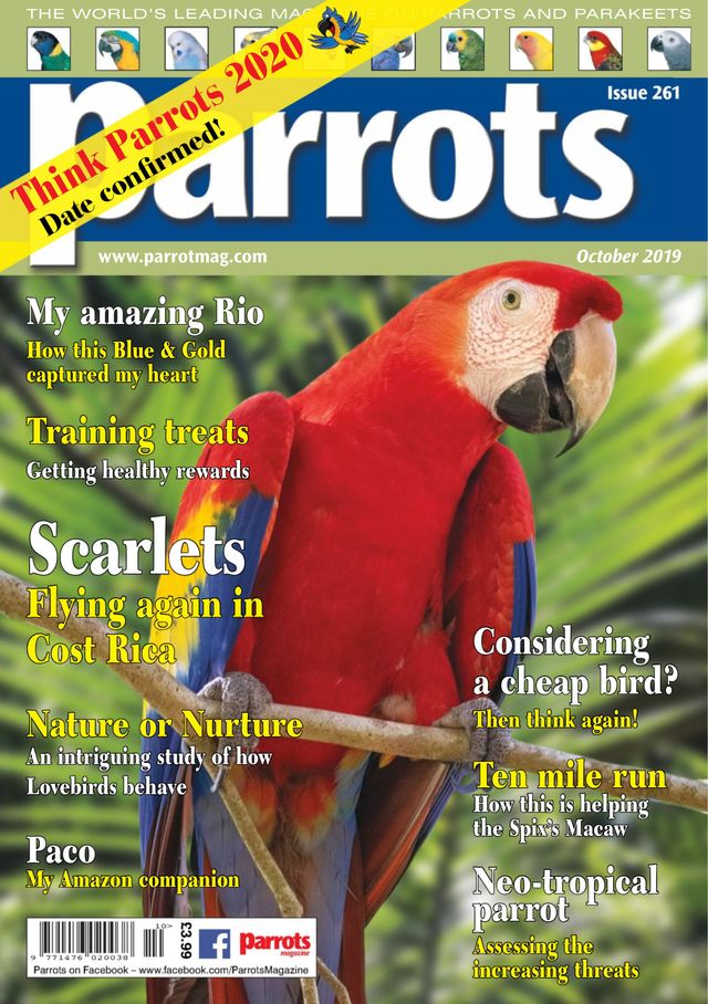 Parrots magazine