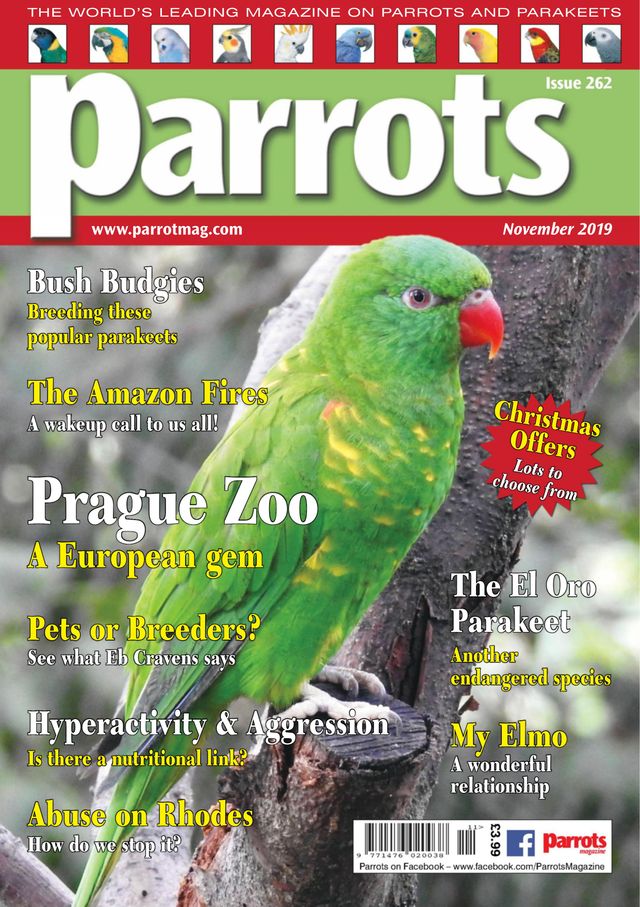 Parrots magazine