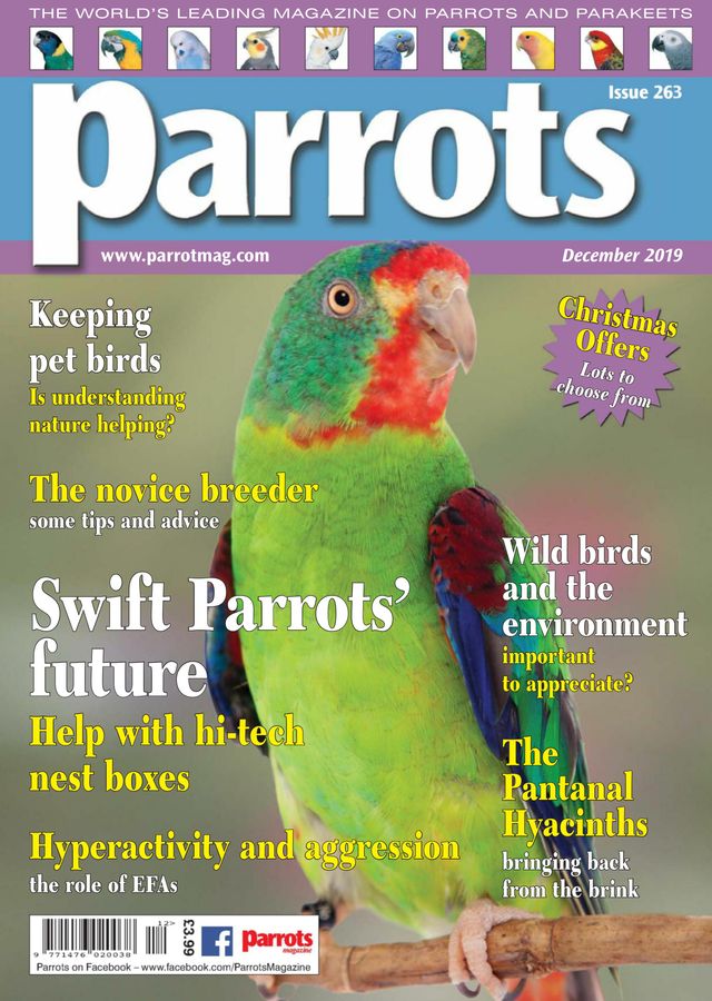 Parrots magazine