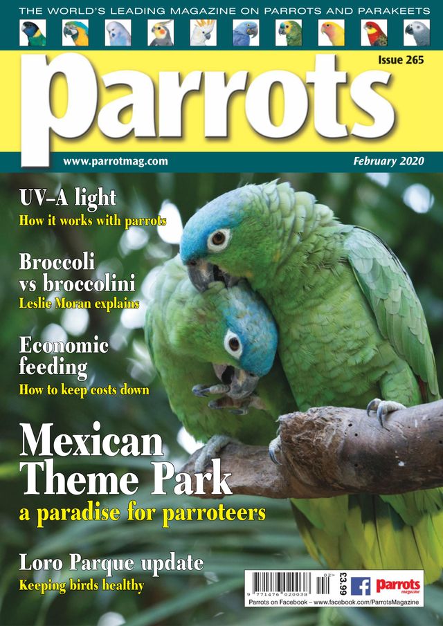 Parrots magazine