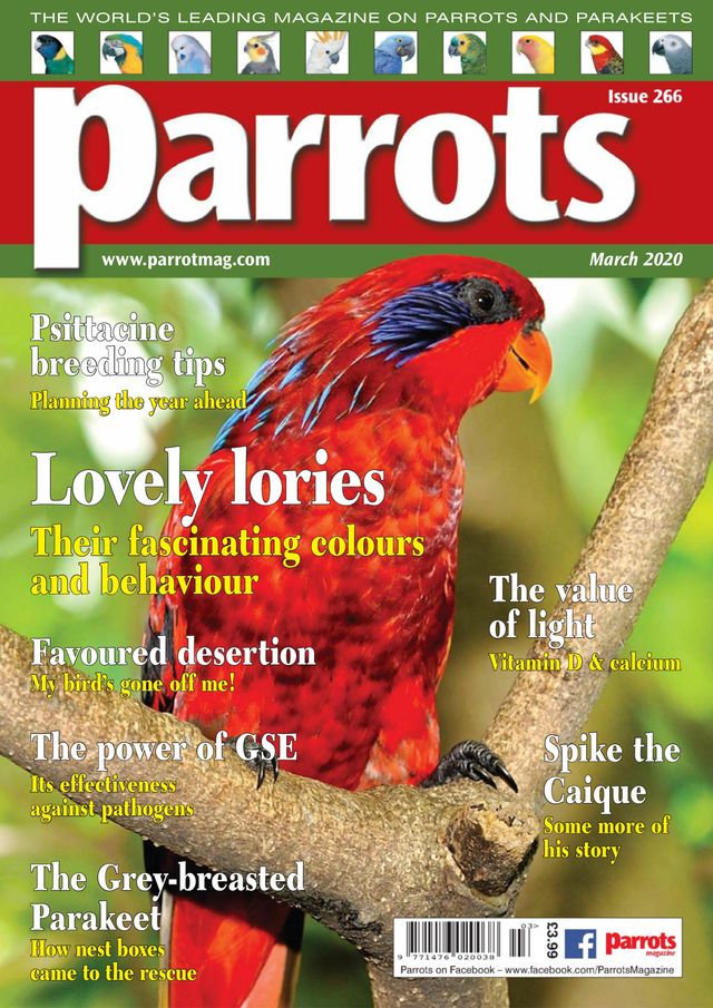 Parrots magazine