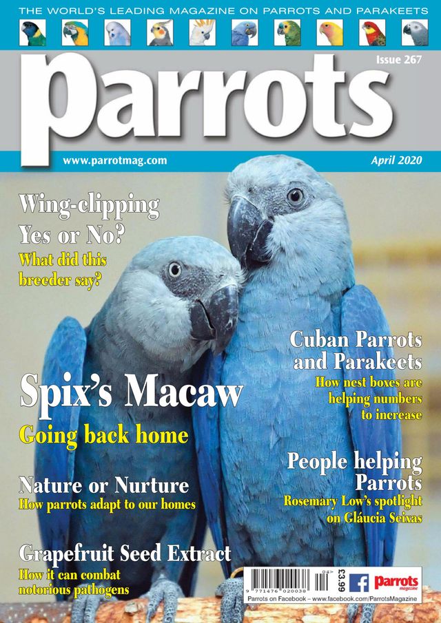 Parrots magazine