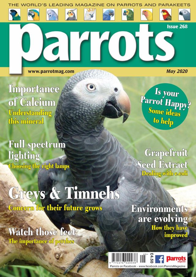 Parrots magazine