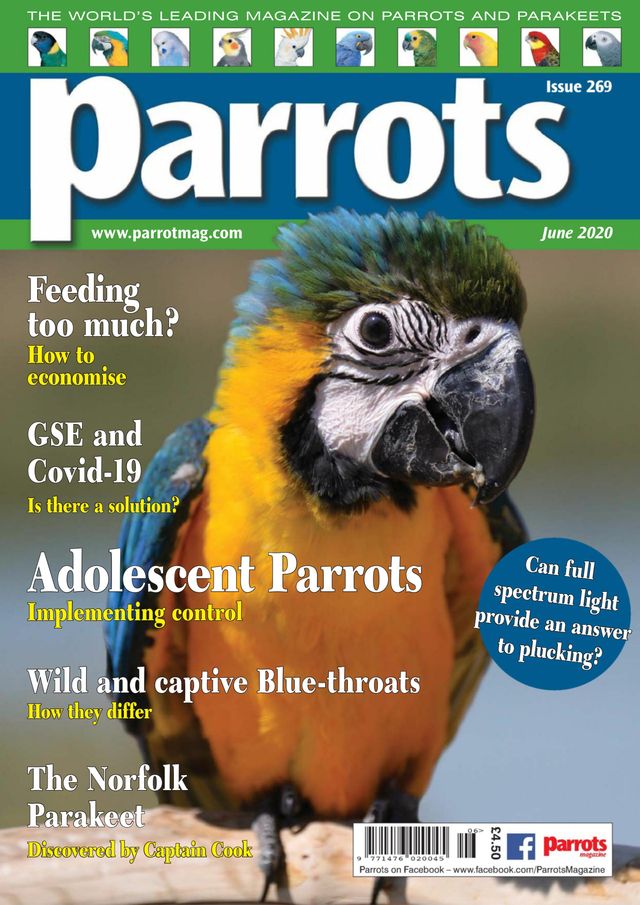 Parrots magazine
