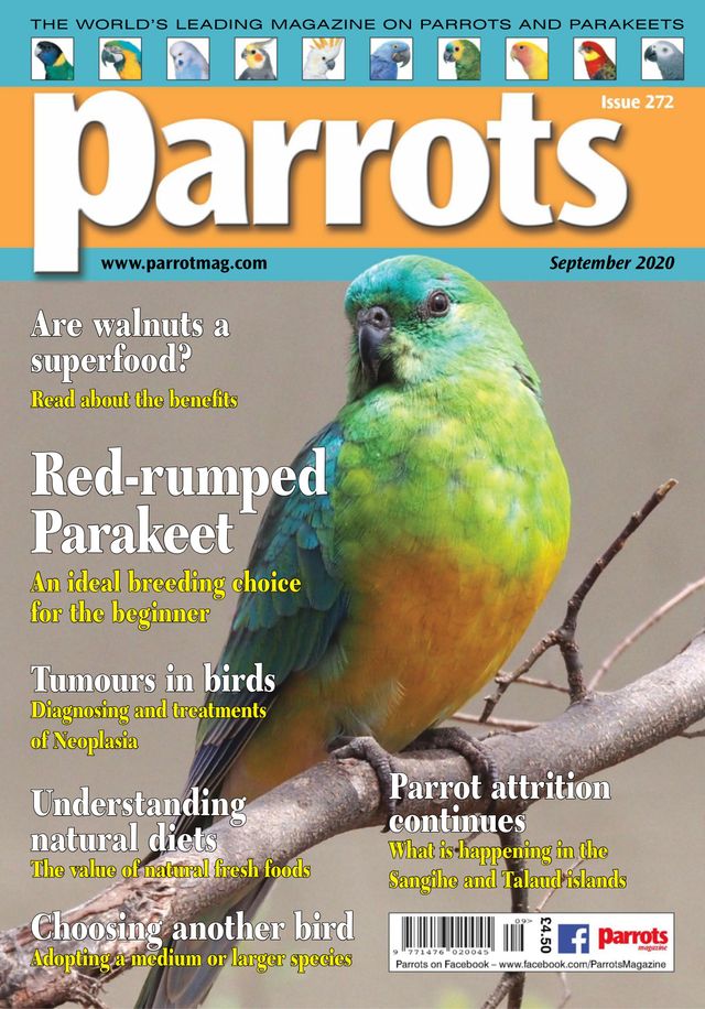 Parrots magazine
