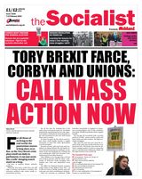 Issue 1028, 7-13 February 2019