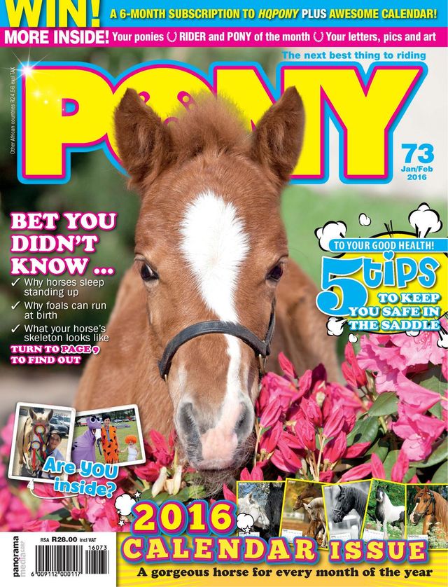HQ Pony