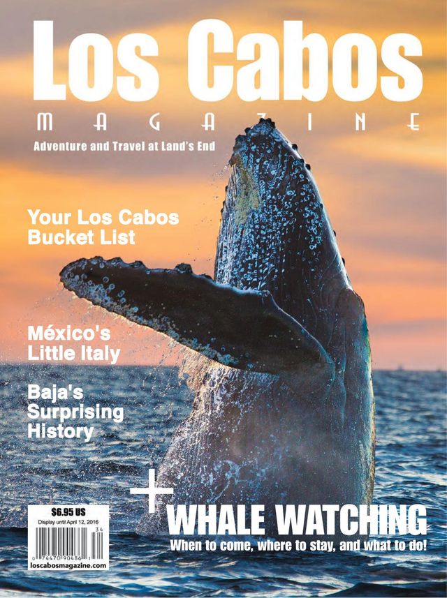 Los Cabos Magazine