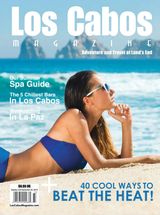 Summer 2015 - Issue 41