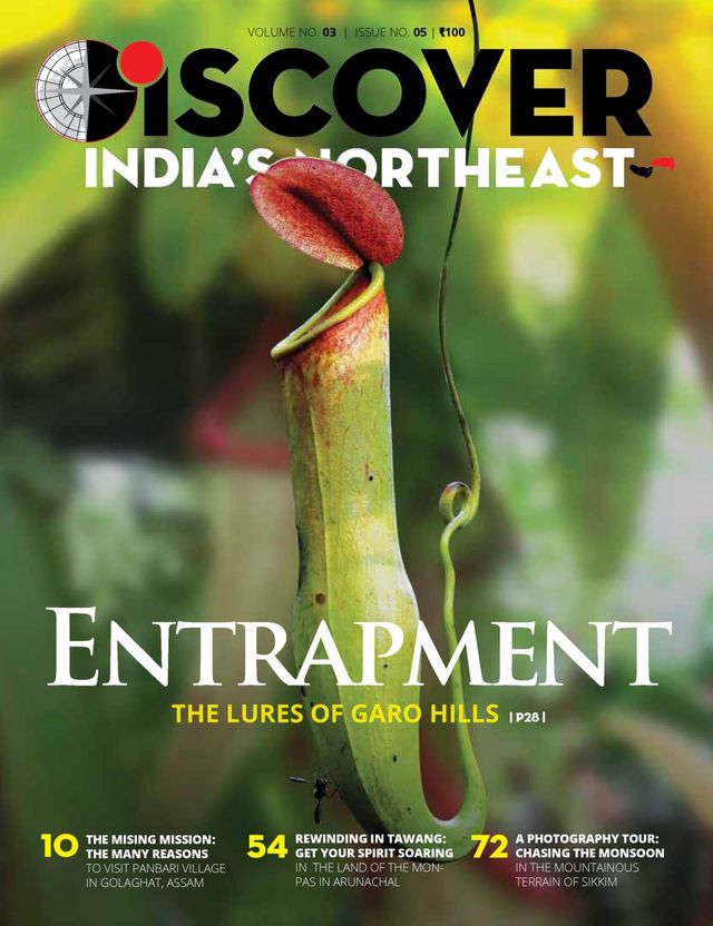 Go Unlimited with Magzter GOLD