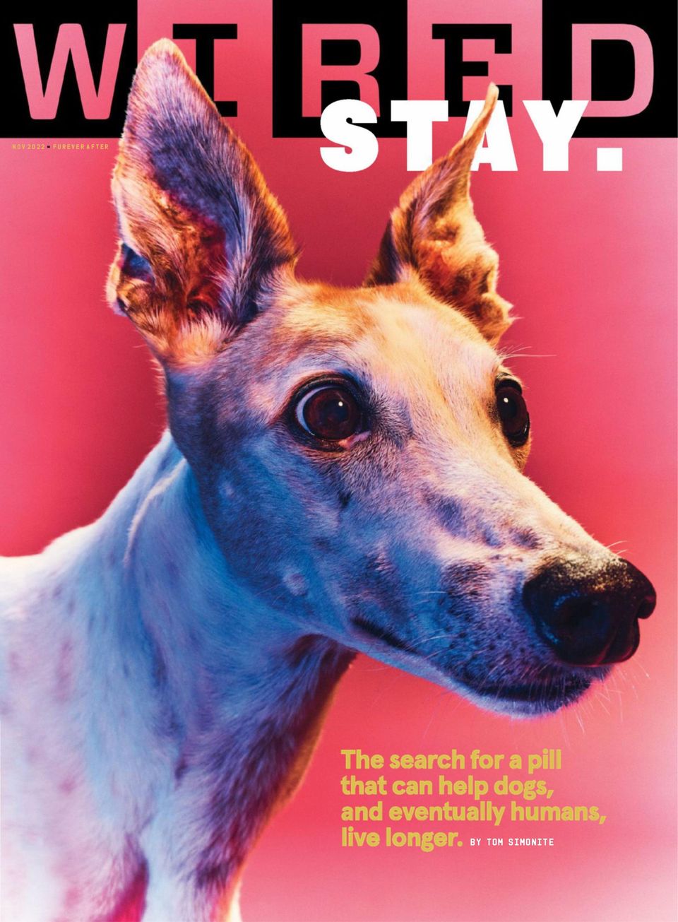 WIRED November 2022
