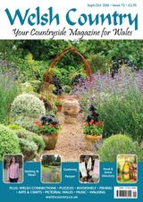 September - October 2016