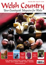 November - December 2016