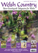 January - February 2018