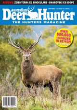 Edition 29