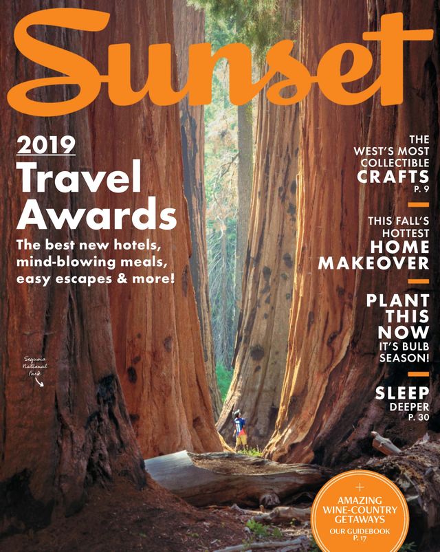 Vuélvete ilimitado con Magzter GOLD