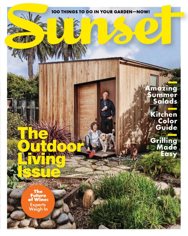 Vuélvete ilimitado con Magzter GOLD