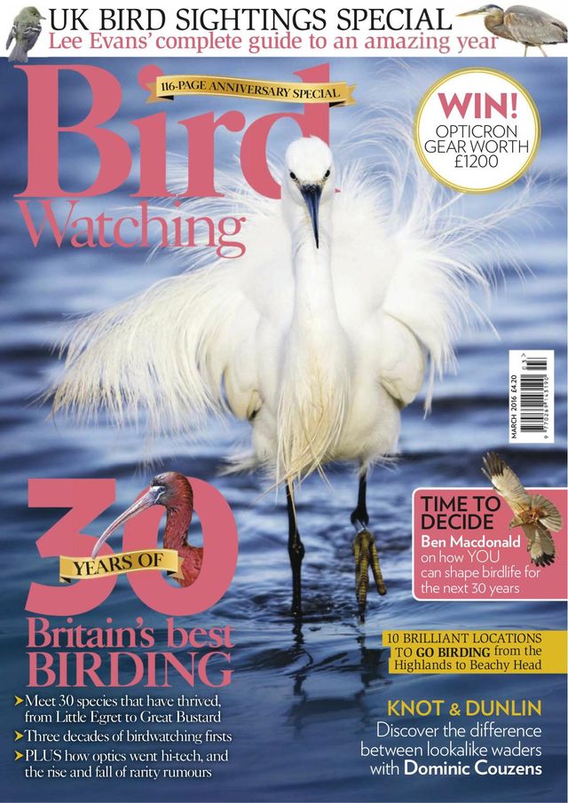 استمتع بـUnlimited مع Magzter GOLD